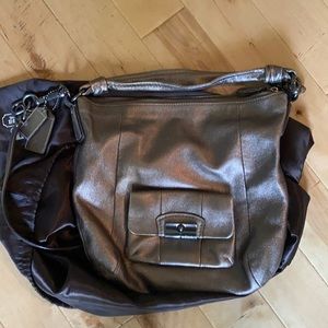 Bronze Coach Purse